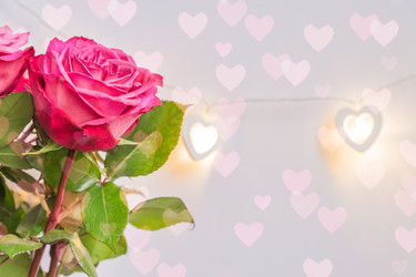 Similar image 21297230