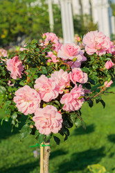 Similar image 21297231