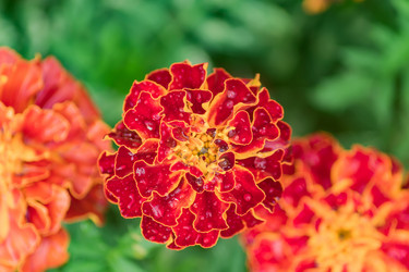 Similar image 21297235