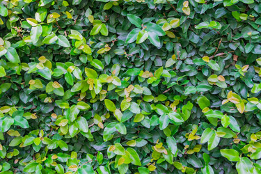 Similar image 21297236