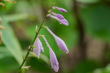 Similar image 21297237