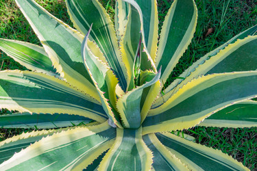 Similar image 21297239