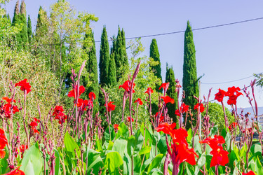 Similar image 21297243