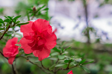 Similar image 21297256