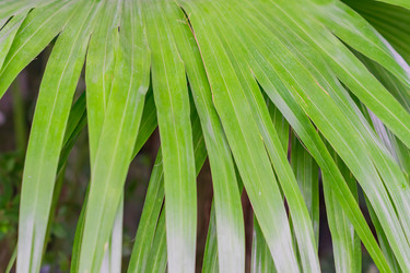 Similar image 21297258