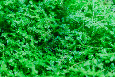 Similar image 21297262