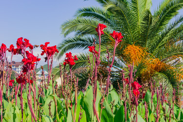 Similar image 21297263