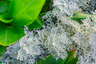 Similar image 21297265