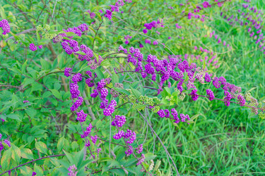 Similar image 21297266