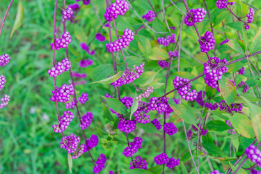 Similar image 21297268