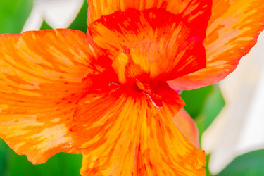 Similar image 21309106