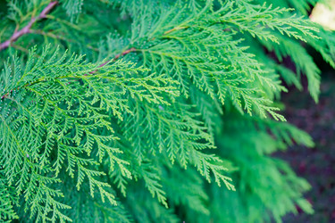 Similar image 21311168