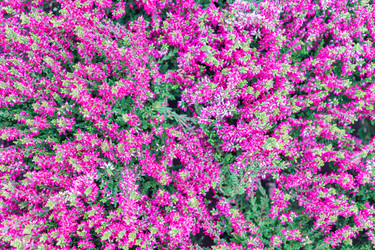 Similar image 21311171