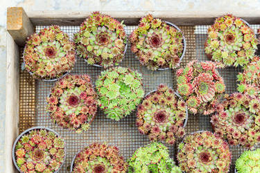 Similar image 21311177