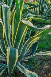 Similar image 21311180