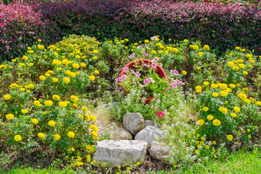 Similar image 21311183