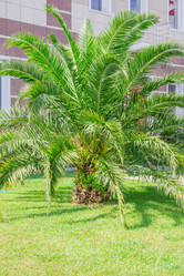 Similar image 21311188