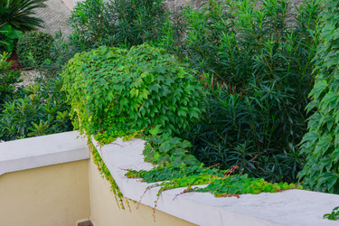 Similar image 21311189