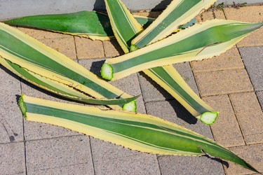 Similar image 21311190