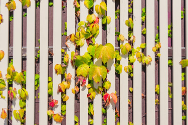 Similar image 21312355