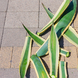 Similar image 21312393