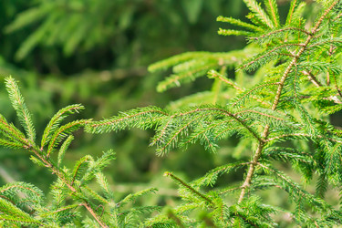 Similar image 21312397