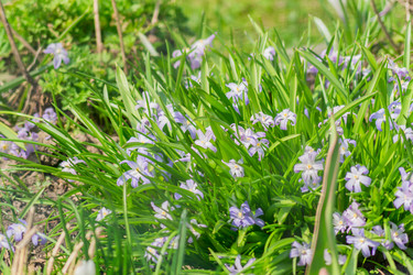 Similar image 21312401