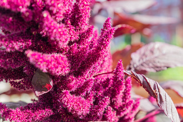 Similar image 21312404