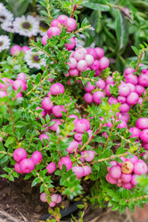 Similar image 21311198