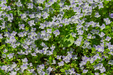 Similar image 21311204