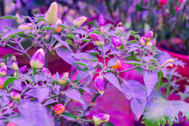 Similar image 21311209