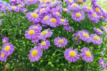 Similar image 21311218