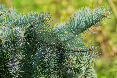 Similar image 21311227