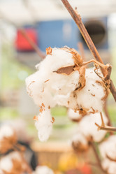 Similar image 21311228