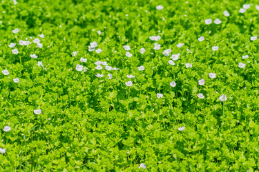 Similar image 21311230