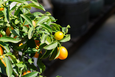 Similar image 21311231