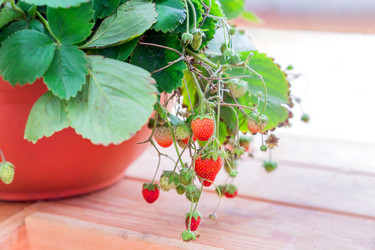 Similar image 21311232