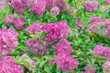 Similar image 21311233