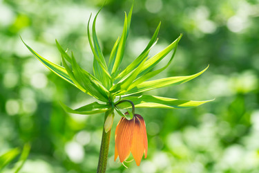 Similar image 21311234