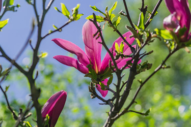 Similar image 21311237