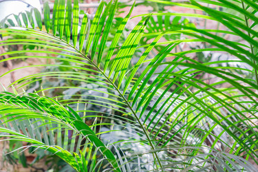 Similar image 21311238