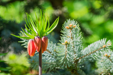 Similar image 21311239