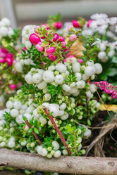 Similar image 21312407