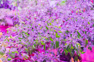 Similar image 21312408