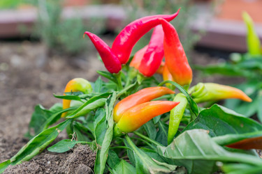 Similar image 21312411