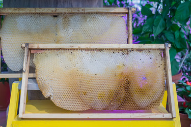 Similar image 21312413