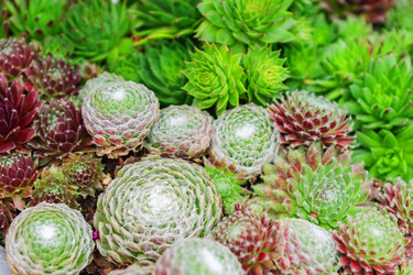 Similar image 21312414