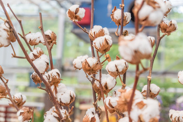 Similar image 21312417