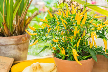 Similar image 21312421