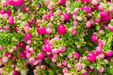 Similar image 21312425